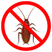 Cockroach Control Gordon