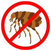 Flea Control Gordon