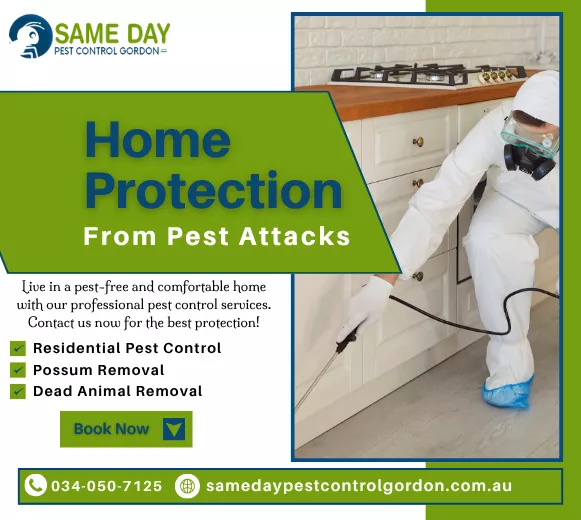 Pest Control Gordon