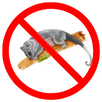 Possum Removal Gordon