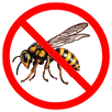Wasp Control Gordon